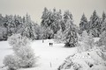 Tuyết phủ trắng xóa trên núi Kahler Asten ở gần Winterberg, Đức. Ảnh: AFP/TTXVN