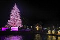 Cây thông Noel cao 20 mét được trang trí 150.000 bóng đèn led tại Hokkaido, Nhật Bản. Ảnh: Kyodo/TTXVN