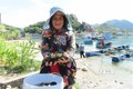 Ninh Thuận phát triển nghề nuôi biển và nhân giống thủy sản