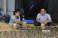 Anh Lê Hồng Lâm thu nhập cao từ sản phẩm ốc gác bếp