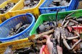 Nông dân Trà Vinh nuôi cua biển mang lại lợi nhuận cao
