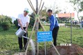 Sôi nổi Tết trồng cây "Đời đời nhớ ơn Bác Hồ” Xuân Quý Mão 2023 tại Ninh Thuận