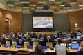越南支持联合国安理会扩员 确保地区代表性平衡