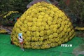 Bó hoa cúc mâm xôi xác lập kỷ lục lớn nhất Việt Nam. Ảnh: Nguyễn Văn Trí - TTXVN