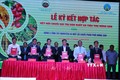 UBND 5 tỉnh Tây Nguyên ký biên bản hợp tác với một số chuỗi phân phối nông sản. Ảnh: Hồng Điệp - TTXVN