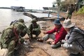 Hình ảnh các chuyên gia Bộ Môi trường Campuchia khảo sát, nghiên cứu về mẫu hóa thạch xương động vật được cho là khủng long, do Sở Môi trường tỉnh Koh kong cung cấp. Ảnh: AKP/TTXVN