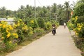 Một tuyến đường nông thôn ở huyện nông thôn mới Tiểu Cần. Ảnh: baotravinh.vn