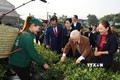 Tổng Bí thư Nguyễn Phú Trọng thăm vườn chè của Hợp tác xã Hảo Đạt, thành phố Thái Nguyên. Ảnh: Trí Dũng– TTXVN