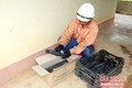 Sản phẩm than nướng sạch khi hoàn thiện được đóng hộp để cung cấp ra thị trường. Ảnh: baosonla.org.vn