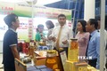 Các đại biểu tham quan, mua sắm tại Hội chợ hàng Việt - Đà Nẵng 2023 và tôn vinh các sản phẩm OCOP, phát động Tháng khuyến mại kích cầu mua sắm trên địa bàn đợt 1 năm 2023. Ảnh: Quốc Dũng - TTXVN