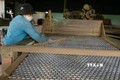 Quy trình sản xuất chè tại một công ty trên địa bàn thành phố Bảo Lộc chuyên xuất khẩu chè sang Pakistan và Afghanistan. Ảnh: Nguyễn Dũng – TTXVN