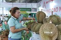 Gian hàng trưng bày sản phẩm sầu riêng huyện Krông Pắc tại Lễ hội Sầu riêng huyện Krông Pắc lần thứ nhất, năm 2022. Ảnh: Tuấn Anh – TTXVN