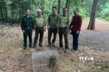 Thả cá thể Khỉ mặt đỏ quý hiếm về rừng tự nhiên ở Bình Phước