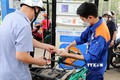 Mua bán xăng, dầu tại một điểm kinh doanh xăng dầu trên địa bàn Hà Nội. Ảnh: Trần Việt - TTXVN