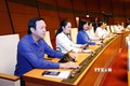 Đại biểu Quốc hội tỉnh Tiền Giang biểu quyết thông qua Luật Tài nguyên nước (sửa đổi). Ảnh: Doãn Tấn - TTXVN