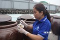 Chị Nguyễn Thị Thơm, làng nghề Do Xuyên - Ba Làng, kiểm tra chất lượng nước mắm trước khi cung ứng cho thị trường Tết. Ảnh: Nguyễn Nam-TTXVN