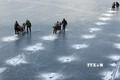 Rộn ràng lễ hội câu cá trên băng tại Hàn Quốc