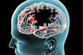 Sử dụng AI để dự đoán nguy cơ mắc chứng mất trí nhớ