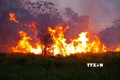 New Zealand nghiên cứu dự báo về tốc độ lan truyền của cháy rừng