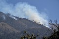 Gió Ô Quý Hồ khiến nguy cơ cháy rừng tại Sa Pa tăng cao