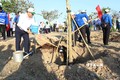 Ninh Thuận phát động Tết trồng cây đời đời nhớ ơn Bác Hồ Xuân Giáp Thìn