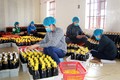Kinh nghiệm nâng sao cho sản phẩm OCOP của tỉnh Nam Định