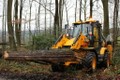 Bỉ phát triển phương pháp khoa học chống buôn bán gỗ bất hợp pháp