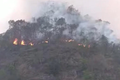 Cơ bản khống chế được vụ cháy rừng tại huyện Mường La