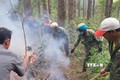 Gia Lai nỗ lực kiểm soát nguy cơ cháy rừng dịp cao điểm mùa khô