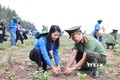 Thanh niên Thông tấn xã Việt Nam hưởng ứng Đề án trồng 1 tỷ cây xanh của Chính phủ