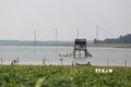 Tây Ninh phát huy hiệu quả công trình thủy lợi mùa nắng hạn
