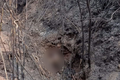 Phát hiện thi thể ba người bị cháy trong khe núi ở Điện Biên