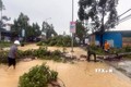 Mưa lớn kèm gió giật gây thiệt hại tại huyện Cát Tiên, tỉnh Lâm Đồng