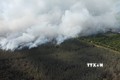 Cháy lớn tại Vườn Quốc gia Tràm Chim, Đồng Tháp