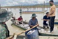 Hơn 25 tấn cá nuôi lồng bè tại lòng hồ thuỷ điện Ialy bị chết