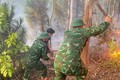 Nghệ An: Kịp thời dập tắt vụ cháy rừng trên núi Bàn Cờ