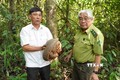 Bình Phước: Thả cá thể tê tê Java về rừng tự nhiên
