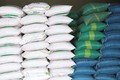 Cao Bằng tiếp nhận và phân bổ trên 845 tấn gạo cho hộ nghèo, cận nghèo