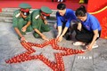 Ngày Thương binh - Liệt sỹ 27/7: Tri ân các anh hùng liệt sỹ hy sinh trong Chiến dịch Điện Biên Phủ