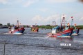 Tàu cá của ngư dân huyện Diễn Châu (Nghệ An) vươn khơi bám biển. Ảnh: Văn Tý - TTXVN