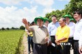 Thủ tướng Chính phủ Phạm Minh Chính đến khảo sát mô hình nông nghiệp công nghệ cao, sản xuất lúa và làm việc với Hợp tác xã dịch vụ nông nghiệp Thắng Lợi tại huyện Tháp Mười (Đồng Tháp). Ảnh: Dương Giang - TTXVN