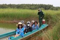 Du khách trải nghiệm di chuyển bằng tắc ráng để tham quan Vườn quốc gia Tràm Chim ở huyện Tam Nông (Đồng Tháp). Ảnh: Nhựt An - TTXVN