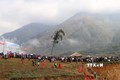 Lễ hội Gầu Tào ở xã Tà Mung, huyện Than Uyên, tỉnh Lai Châu thu hút đông đảo người dân và du khách tham gia. Ảnh: Việt Dũng - TTXVN