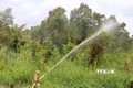 Vận hành máy bơm, thao tác phun xịt nước phòng chữa cháy rừng ở Vườn quốc gia U Minh Thượng (Kiên Giang). Ảnh: Lê Huy Hải - TTXVN