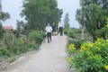 Đường dẫn vào ấp Long Thành, xã Long Trì, huyện Châu Thành (Long An) đã được bê tông hóa, trồng hoa tạo cảnh quan và lắp hệ thống đèn chiếu sáng. Ảnh: Minh Hưng