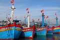 Ngư dân Bình Định gặp khó vì bảo hiểm tàu cá