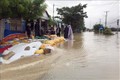 Người dân xã Phước Nam, huyện Thuận Nam (tỉnh Ninh Thuận) dùng bao cát chắn, không cho nước lũ tràn vào nhà. 