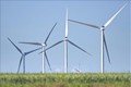 Đắk Nông chấp thuận chủ trương đầu tư dự án điện gió hơn 1.000 tỷ đồng