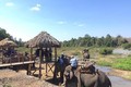 Đắk Lắk dần chuyển đổi sang du lịch thân thiện với voi