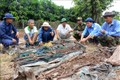 Đội K93 tìm mộ liệt sĩ trên đất bạn Campuchia. Ảnh: Công Mạo-TTXVN